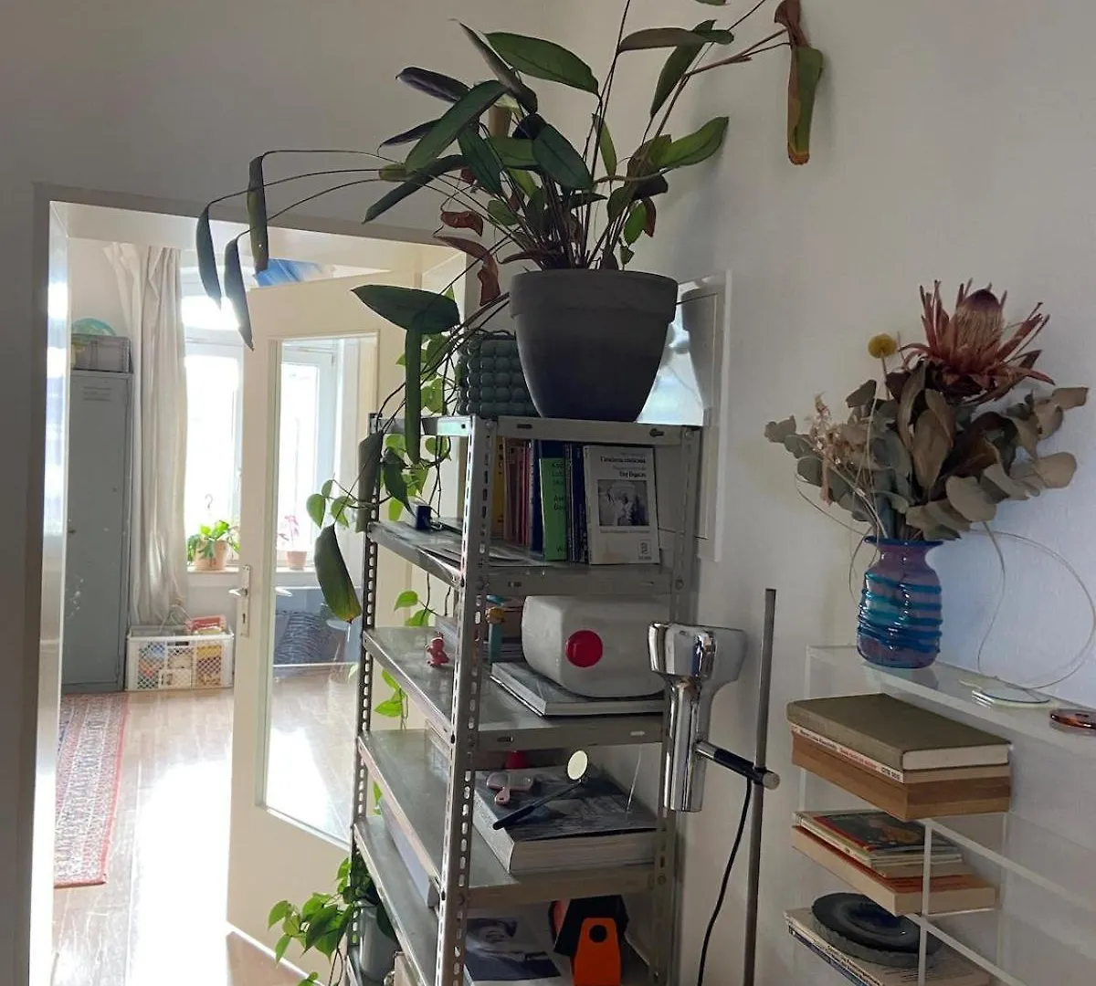 Bright Old Building Whole Apartment Kolonia Niemcy